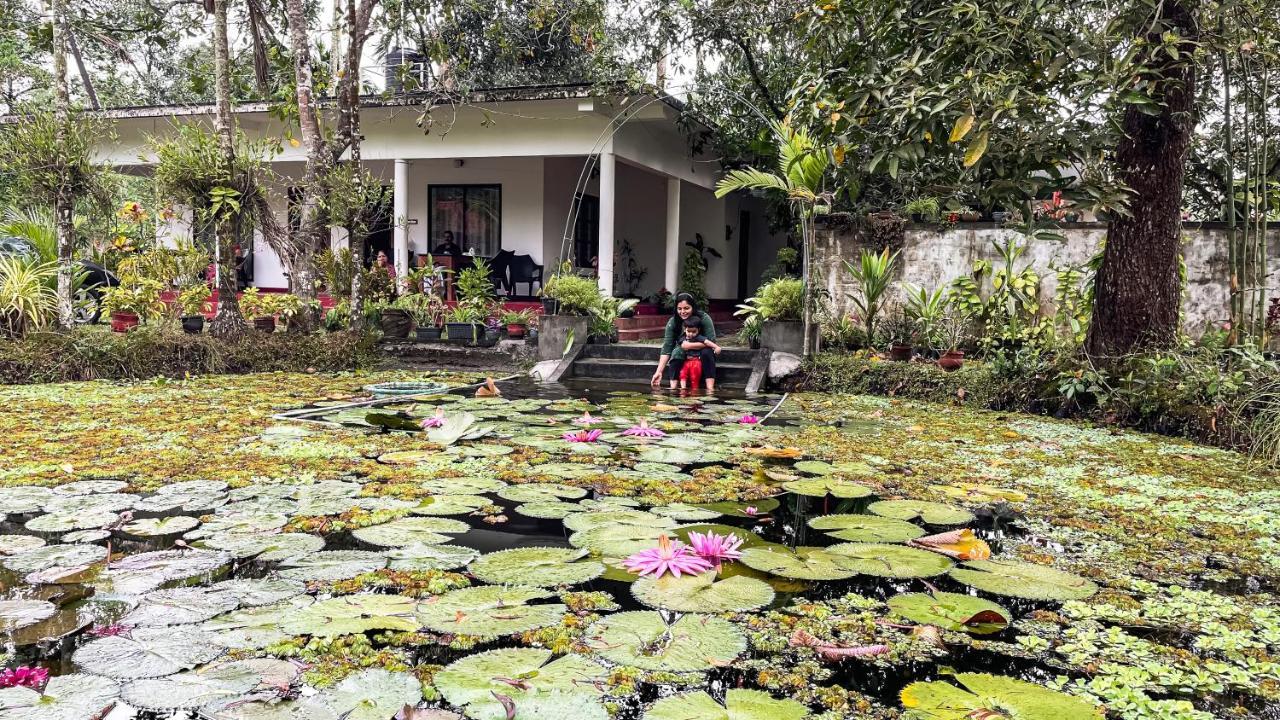 Marari Ebin Charlys Apartment Mararikulam Luaran gambar